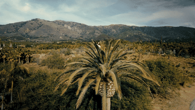 Jessy Lanza – “Don’t Leave Me Now”